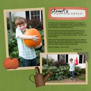 Stewart's Pumpkin Patch