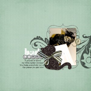 Bad Kitty