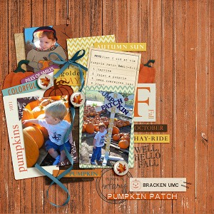 Bracken Pumpkin Patch