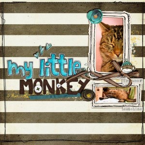 My little Monkey