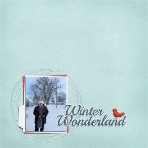 Winter Wonderland