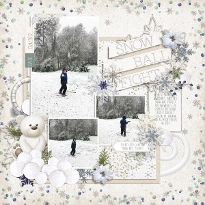 Snow Ball Fight