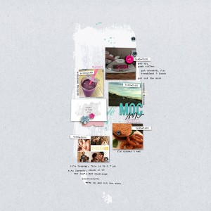MOC14_DocumentYourDay
