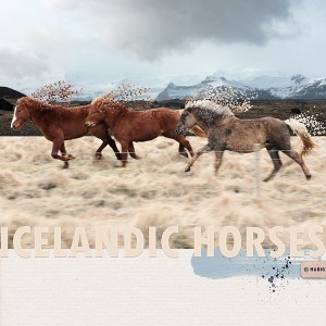 Icelandic Horses (MOC6.6)