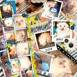 Moments With Max