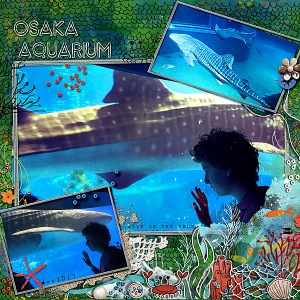 MOC 15 -Osaka-Aquarium