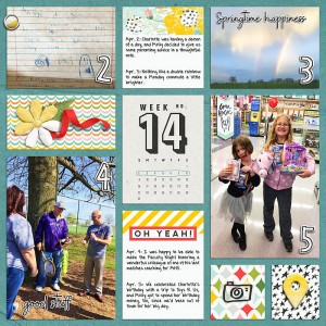 2017 P365 Week 14 Left