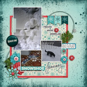 2011-Flipflops-in-the-Snow-copy