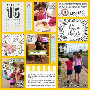 2017 P365 Week 16 Left