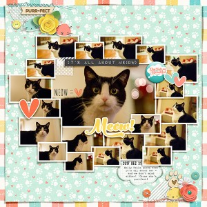 It's All About Me(ow) - January 7: Collage-Large Number of Photos