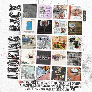 Looking Back - MOC 2018 Jan 7 -  Collage Large Number of Photos