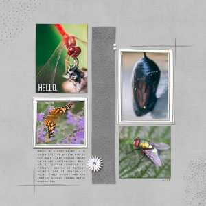 Jan 5 People-Less Page