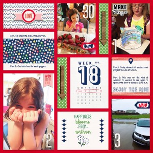 2017 P365 Week 18 Left