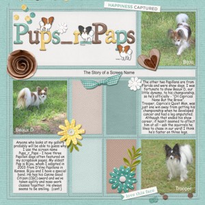Pups-r-Paps (MOC#6-17)