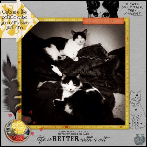 CATS ARE LIKE POTATO CHIPS [Speed Scrap for MOC day 18]