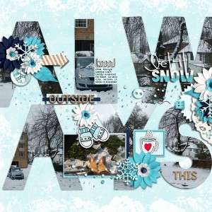 SnowyDay