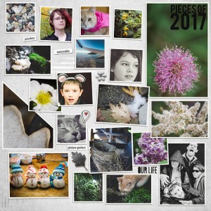 Jan 7th Collage-Large Number Of Photos