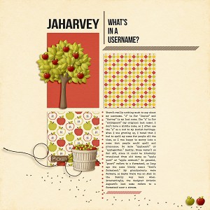 MOC6 Day 17 Username