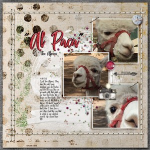 Al Paca