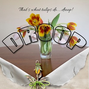 Day-19-droopy