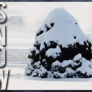 MOC6-Day-#19-SNOW