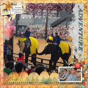 ElephantAdventure