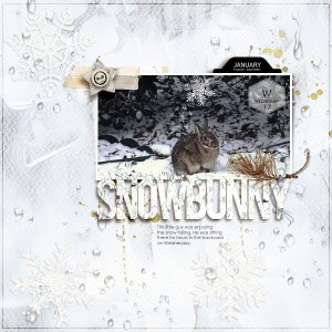 Snow Bunny