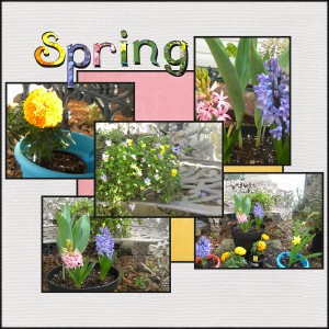 Day 19 - Spring