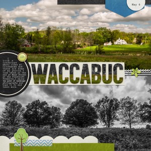 2017-5-6-waccabuc-landscape_600web