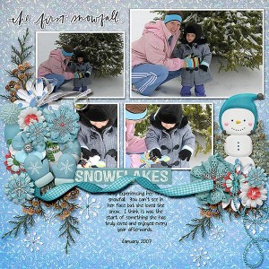 First-Snowfall_Abby_Jan-2007