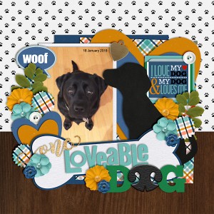 One Lovable Dog