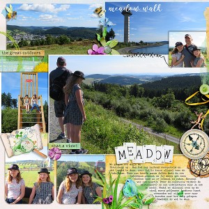 Meadow
