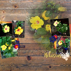 2017-Day-20-Simple-Template-Hibiscus