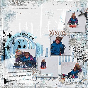 Winter Sledding