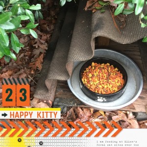 DD23_web