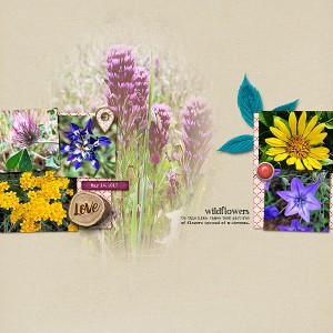 Wildflowers