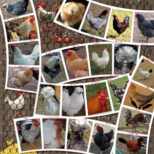 MOC6-1-7-PhotoCollage