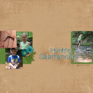Hunting Salamanders