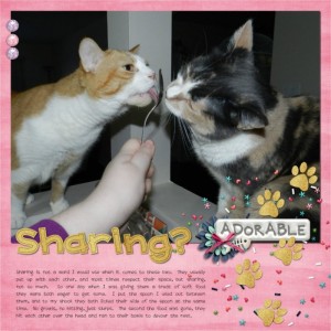 Sharing?