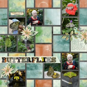 Butterflies