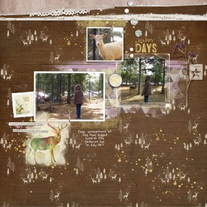 zoo encounters