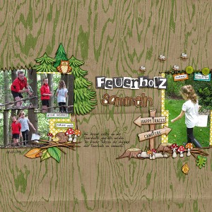 Collect Firewood (Moc6-20 Simple Template)