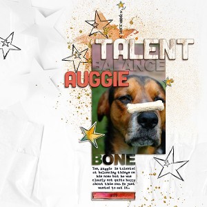 19-Talent Balance Auggie - MOC #19