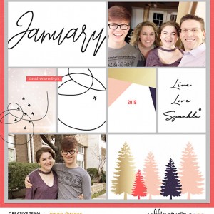 Jan 18 MPM Sparkle