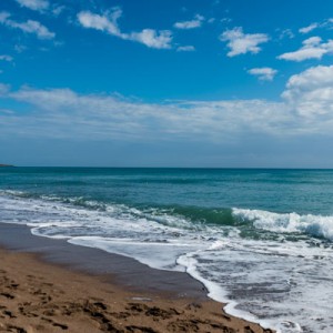 _DSC5084