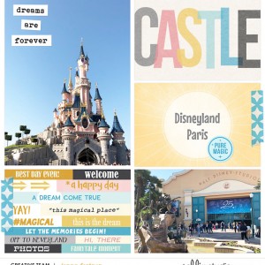DLP Cover Page