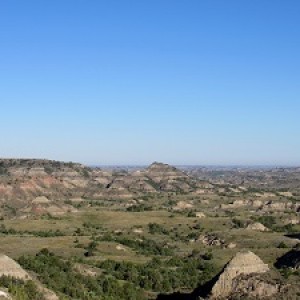 IMG_6881