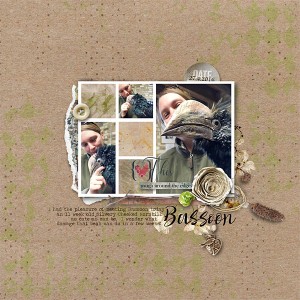 Bassoon