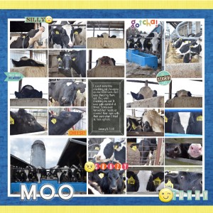 MOC6-7 20 Photo Collage Mosbaskets