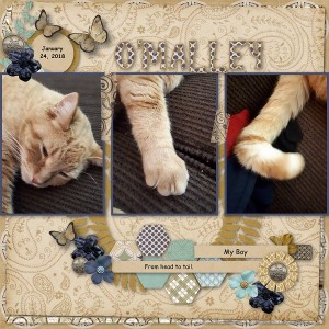 DAY 24 PIECES OF US CHALLENGE